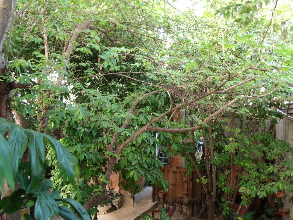 Casitas Kinsol Hotel Puerto Morelos Buitenkant foto