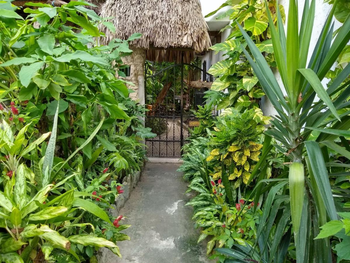 Casitas Kinsol Hotel Puerto Morelos Buitenkant foto